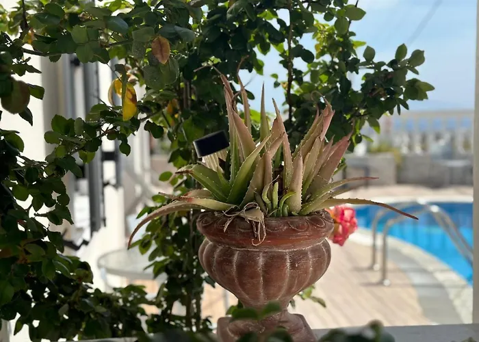 Phoenix Aparthotel 4*