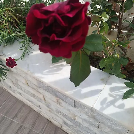 Phoenix Aparthotel Fira (Santorini)