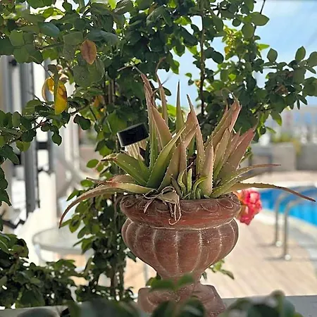 Phoenix Aparthotel Fira (Santorini)