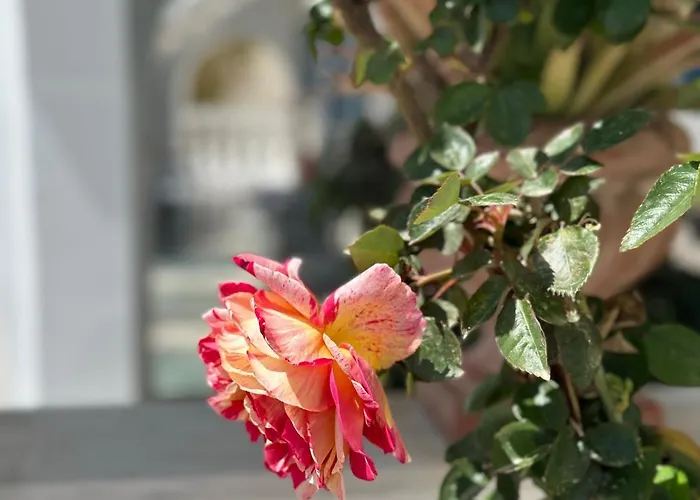 Phoenix Lägenhetshotell Fira (Santorini)