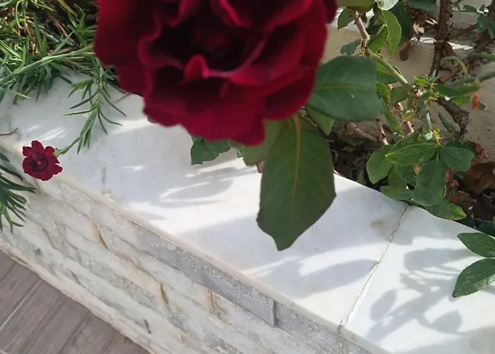 Phoenix Lägenhetshotell Fira (Santorini)