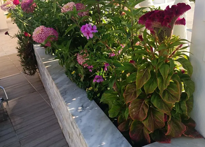 Phoenix Appart hôtel