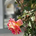 Phoenix Aparthotel Fira (Santorini)