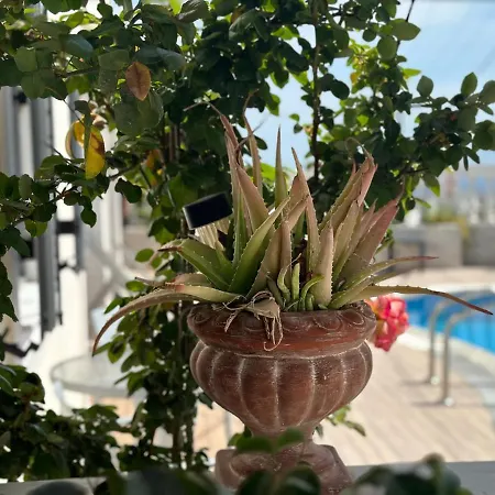 Phoenix Hotel apartamentowy 4*